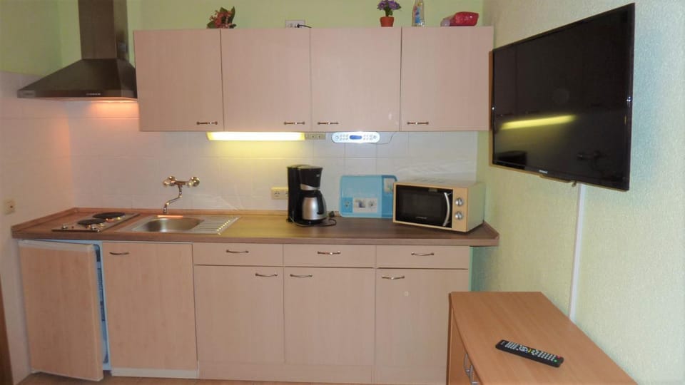 Ferienhaus Zum Kammergut LINKS oder RECHTS Apartment in Thuringia, Germany
