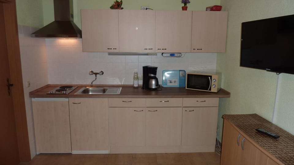 Ferienhaus Zum Kammergut LINKS oder RECHTS Apartment in Thuringia, Germany