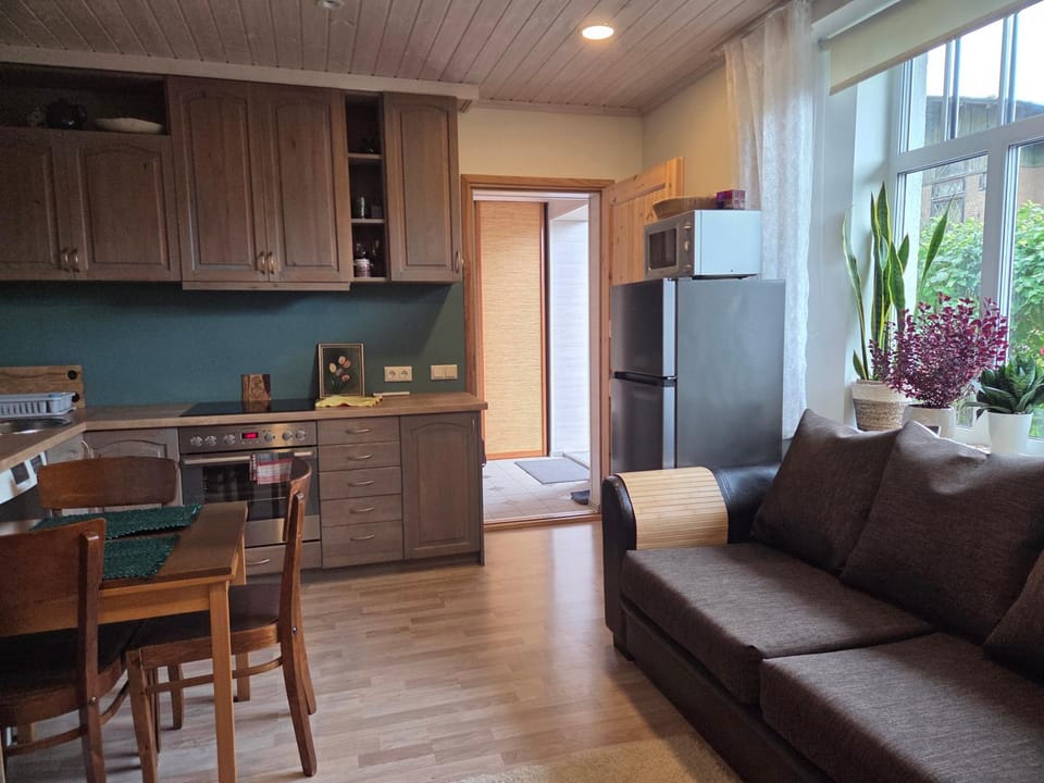 Suure terrassiga korter raudteejaama lähedal Apartment in Estonia