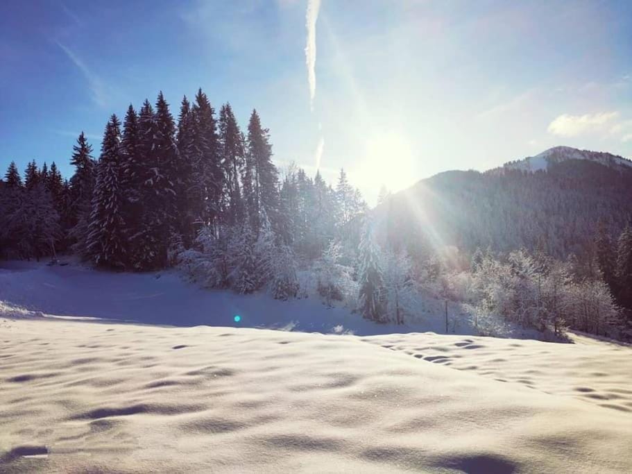 Natural landscape, Winter, Mountain view