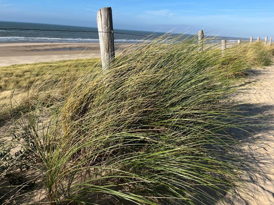 Vakantiewoning Zon, Zee & Duin - Egmond aan Zee Apartment in Egmond aan Zee