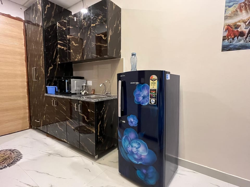 Royal Orbit studio Apartment in Noida
