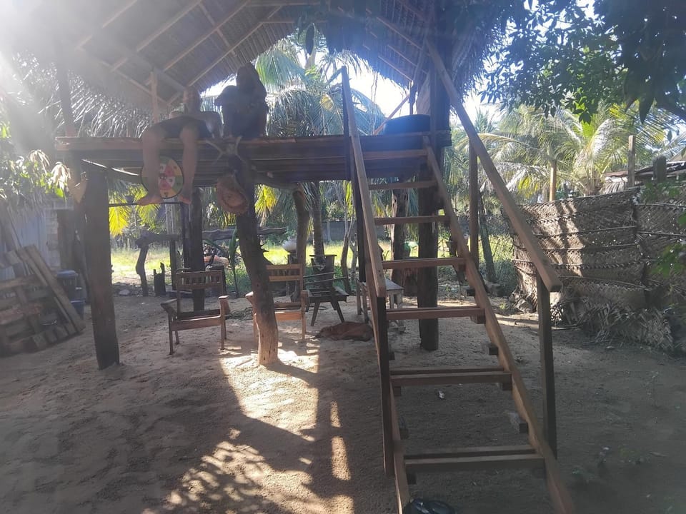 Day, Children play ground, Garden, Garden view
