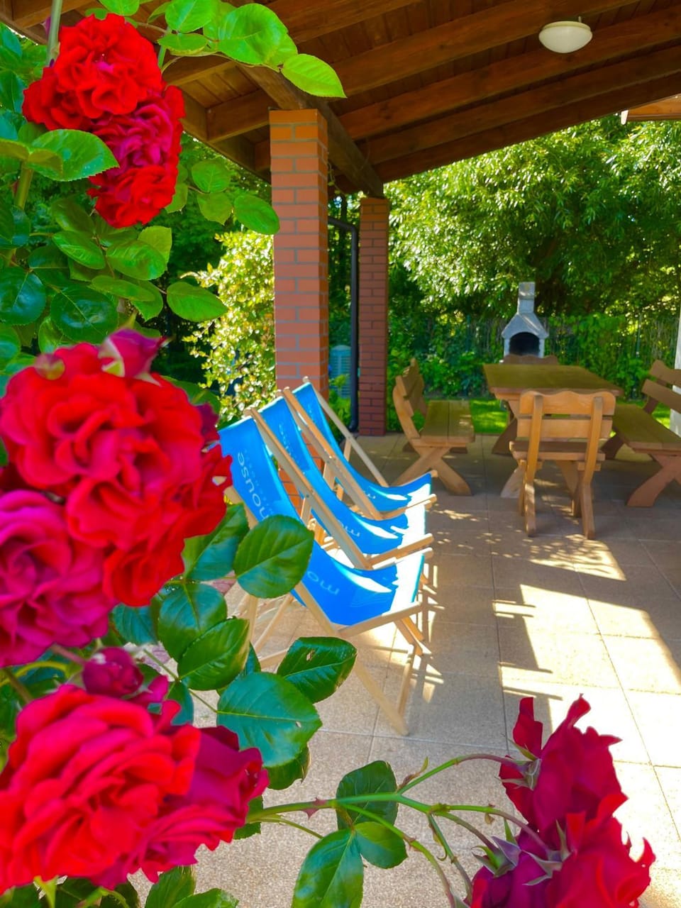 Garden view