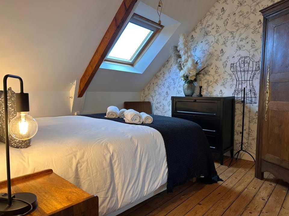 Les Libellules Appartement avec baignoire spa à Dinan Lanvallay Apartment in Brittany