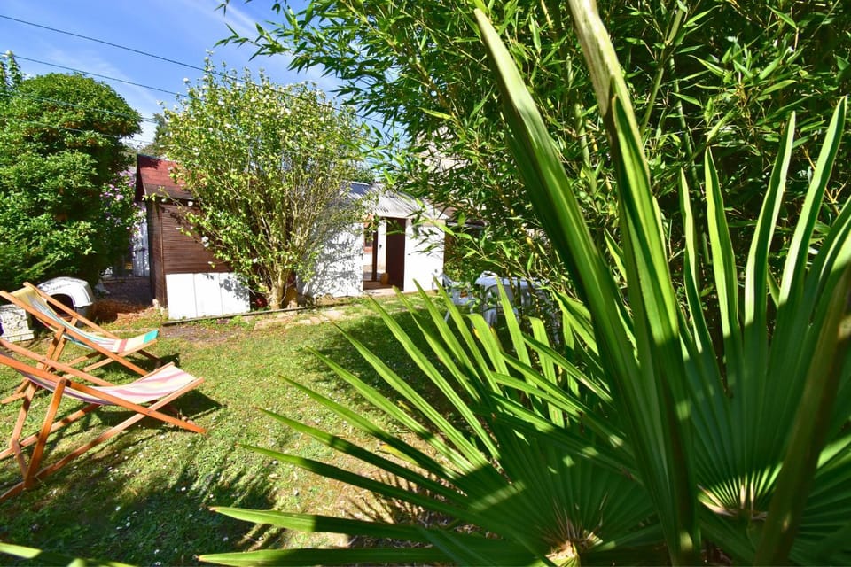 Spring, Day, Natural landscape, Garden, Garden, Garden view