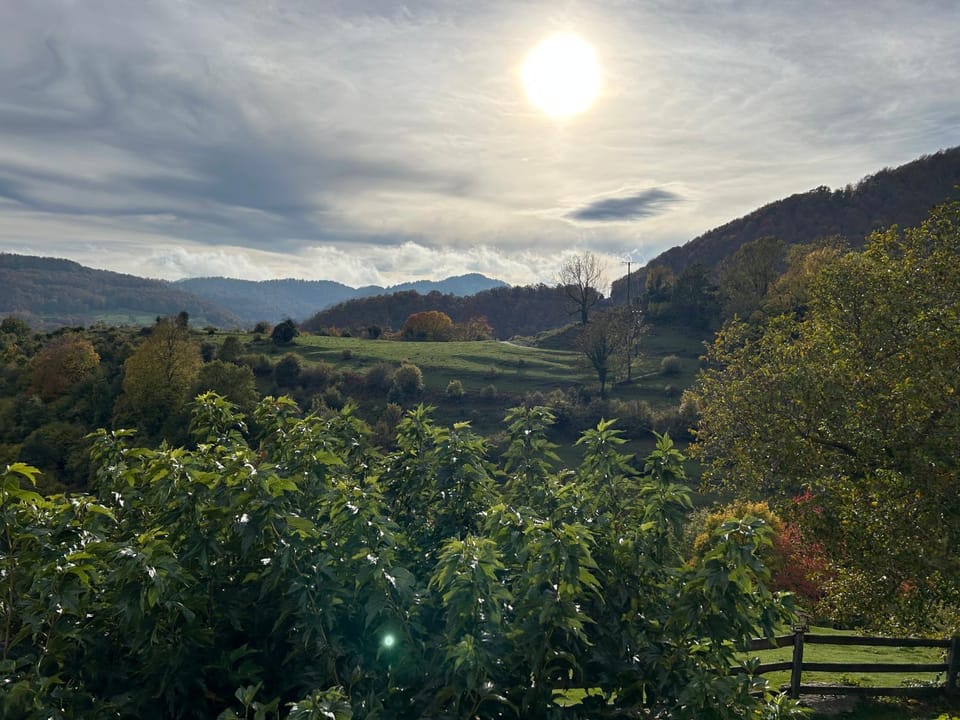 Masia d'Els Plans Chalet in Garrotxa