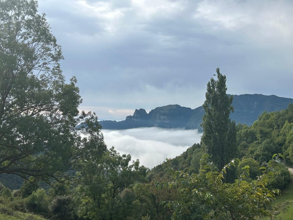 Masia d'Els Plans Chalet in Garrotxa
