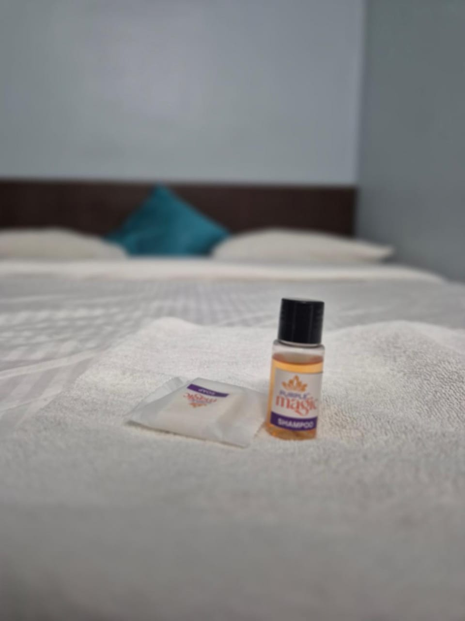 MJ Residency Hotel in Tamil Nadu