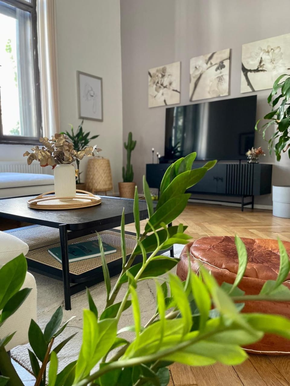 TV and multimedia, Living room