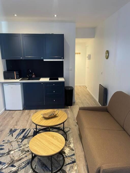 Studio cosy hyper centre Apartment in Évian-les-Bains