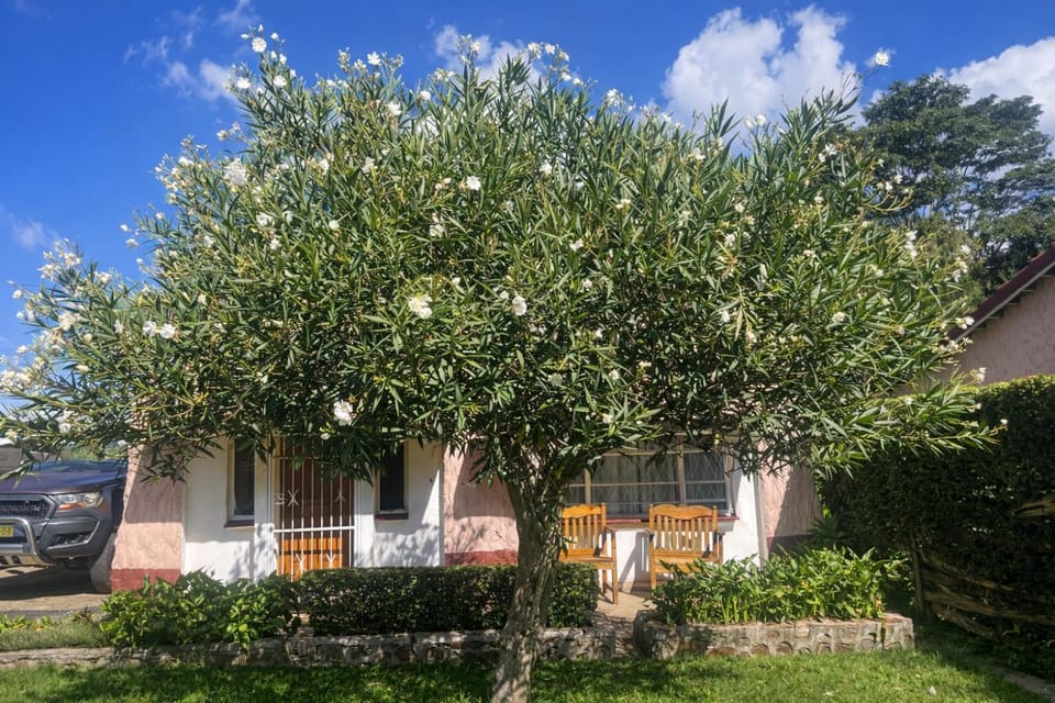 Yellow Wood Cottage Apartment in Harare