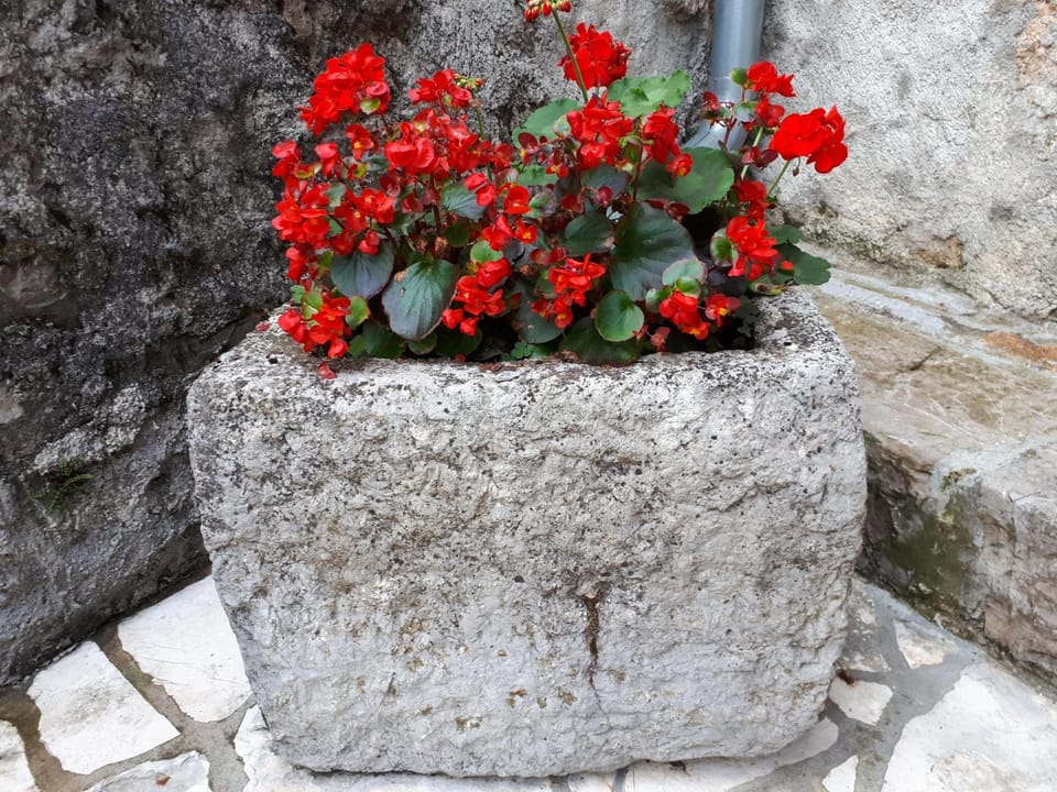 Decorative detail