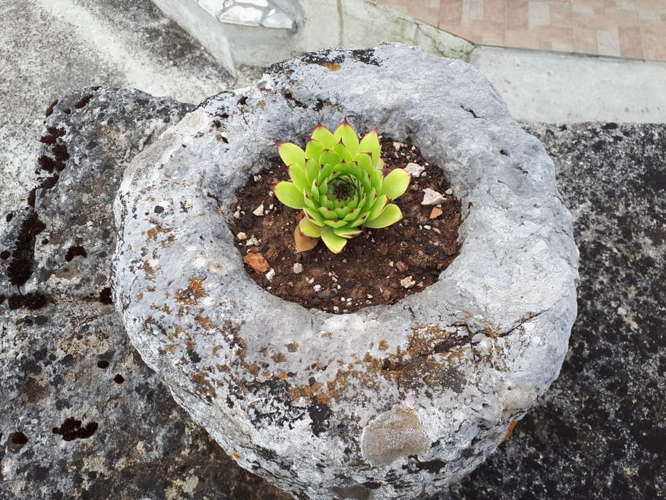 Decorative detail