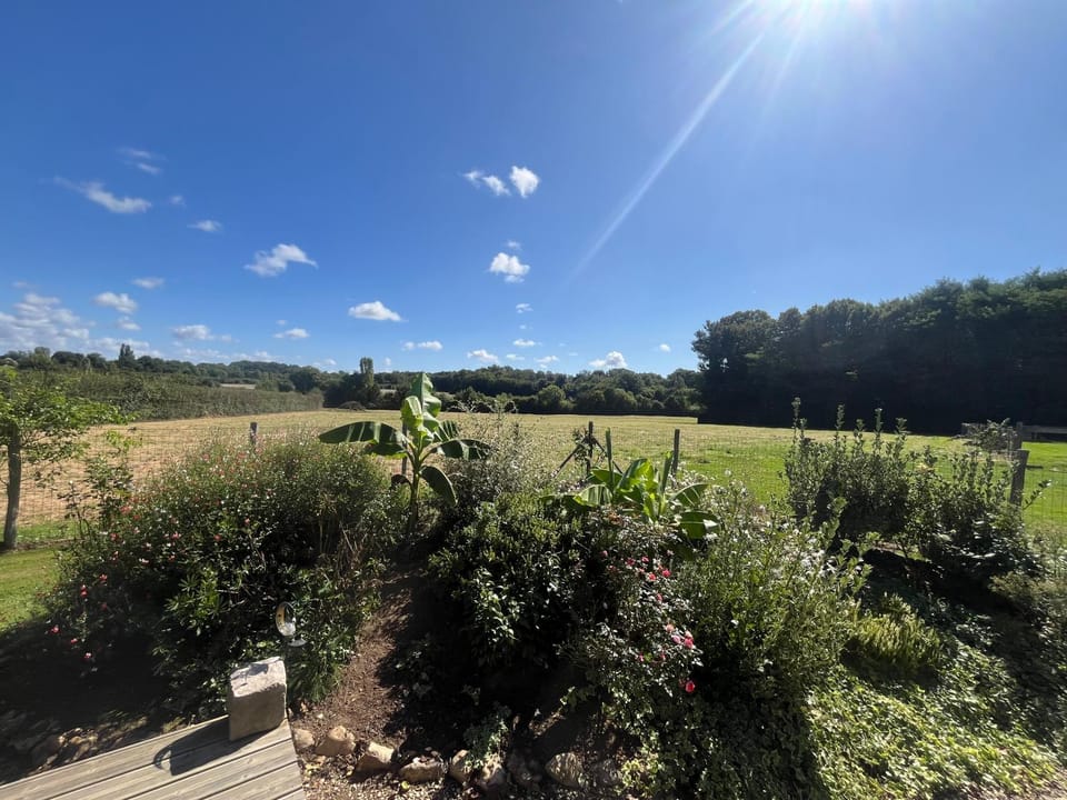 Garden view