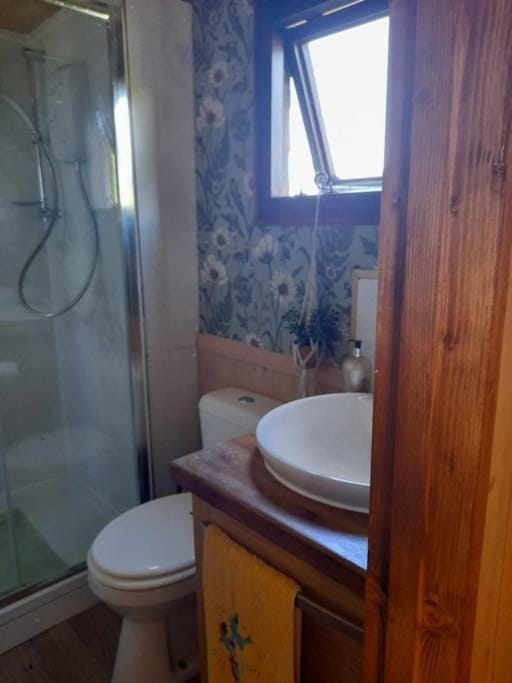 Puddle Duck Peeps Out Chalet Apartment in England