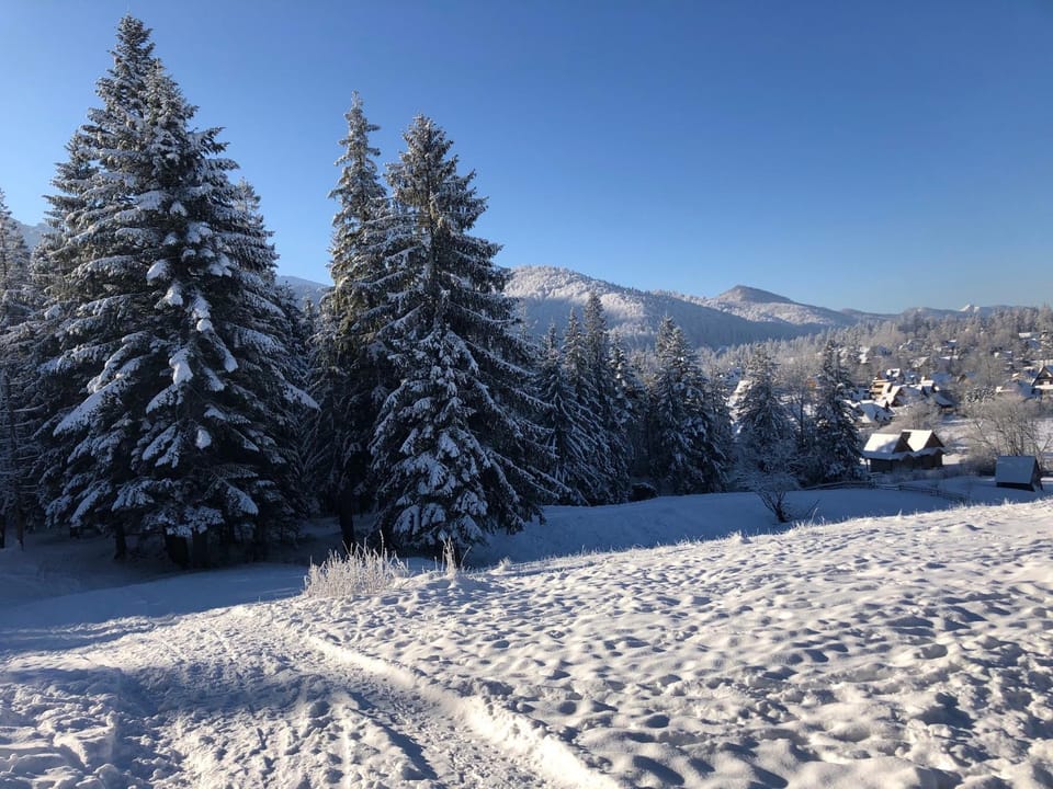 Apartament Chata Toma Apartment in Zakopane