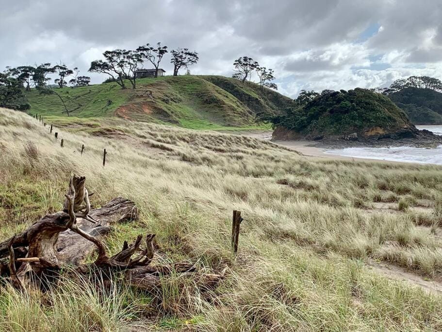 Elliot Bay - Hilltop Cottage House in Northland