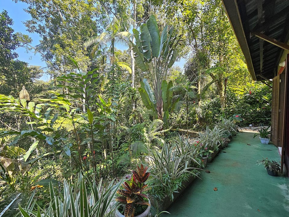 Natural landscape, Garden view