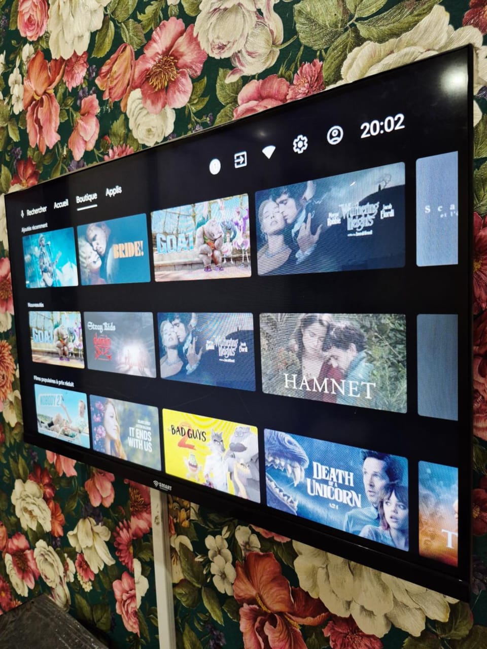 TV and multimedia