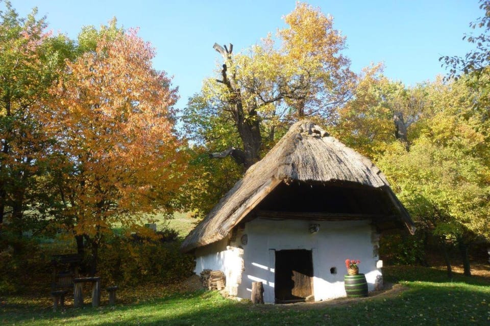 Off site, Autumn