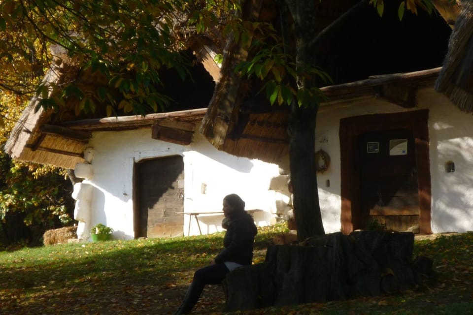 Nearby landmark, Activities
