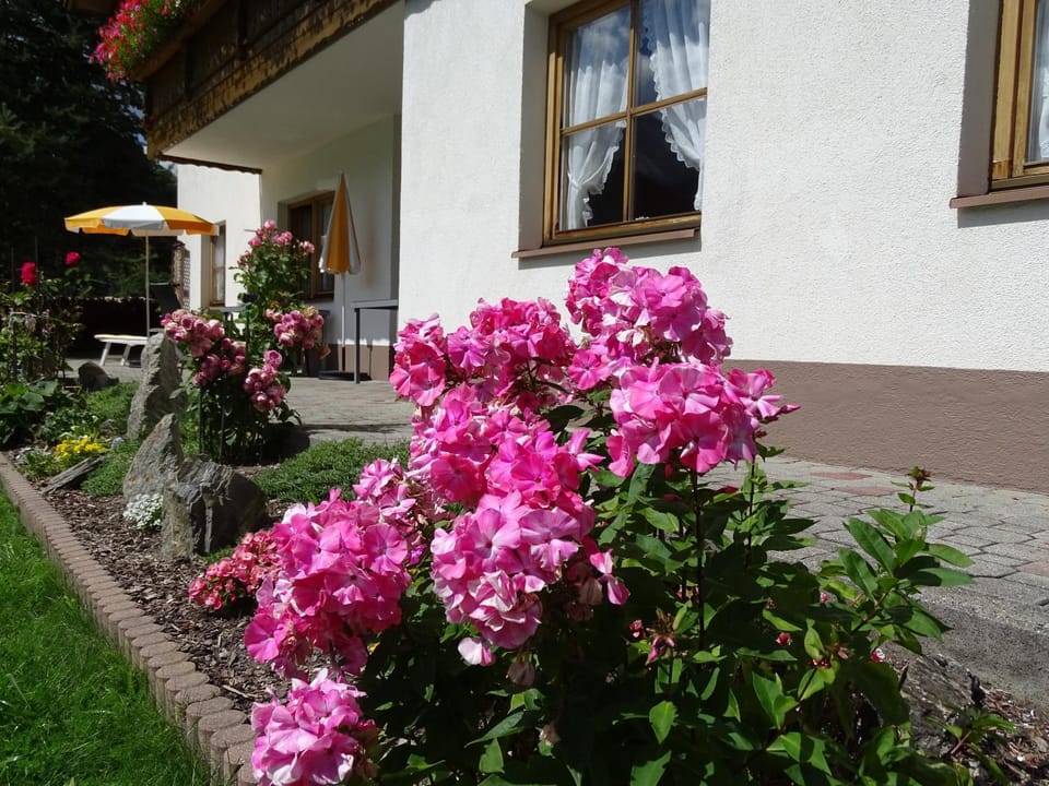 Garden view