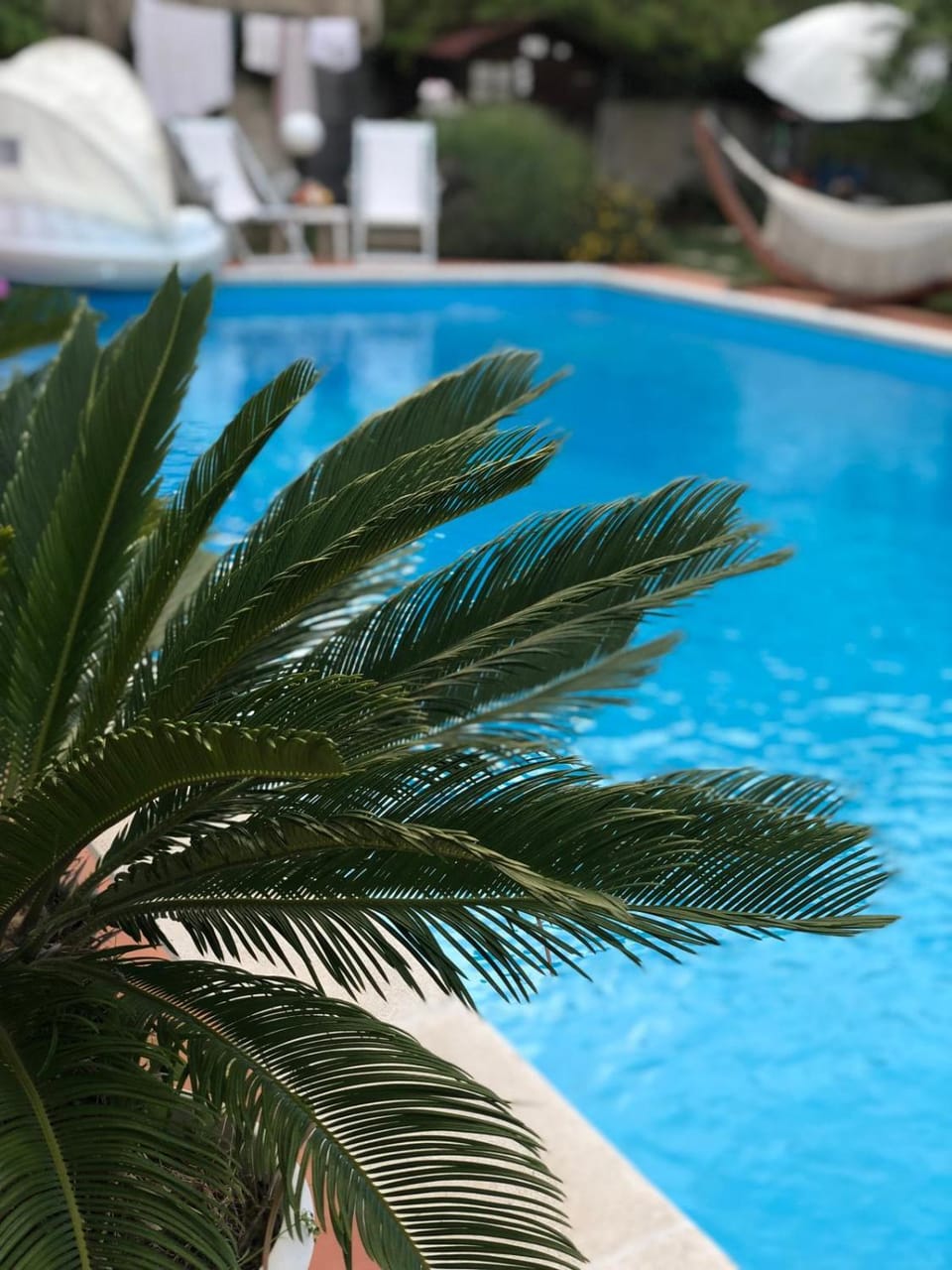 Villa Tropical Bed and Breakfast in Francavilla al Mare