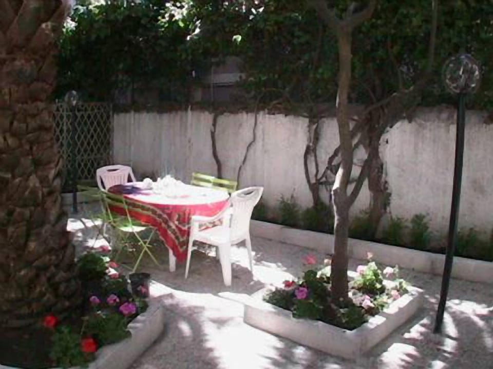 Patio, Spring