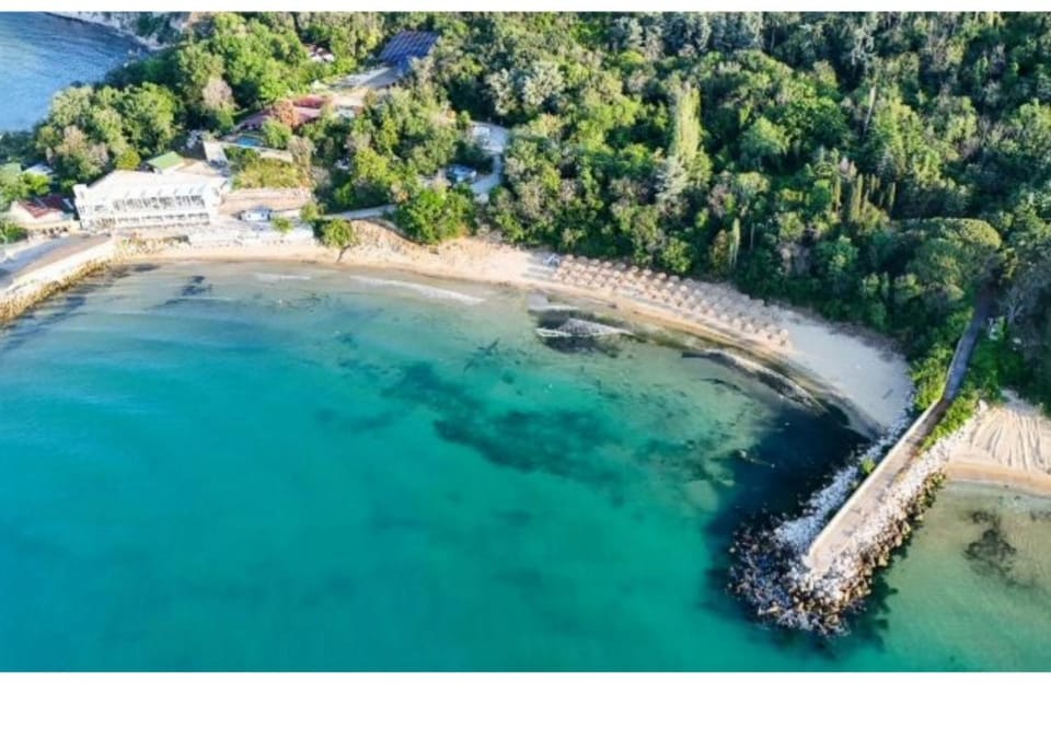 Restaurant/places to eat, Beach, Area and facilities