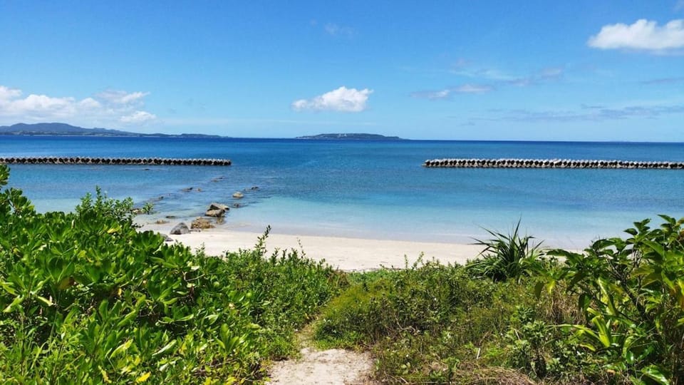 ニライハウス大宜味 Apartment in Okinawa Prefecture