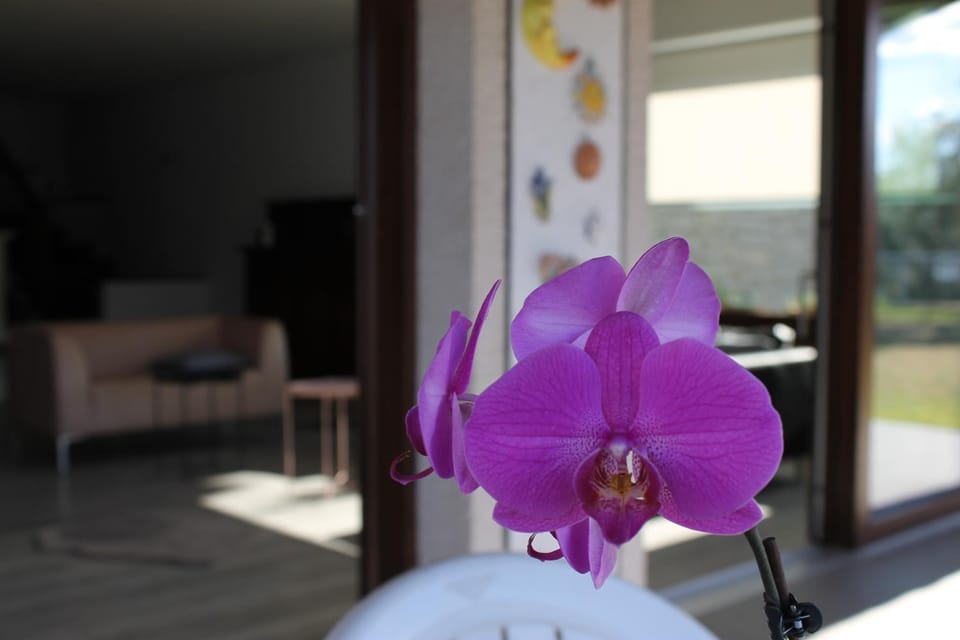 Villa Manuela-Lake View Villa in Brenzone sul Garda