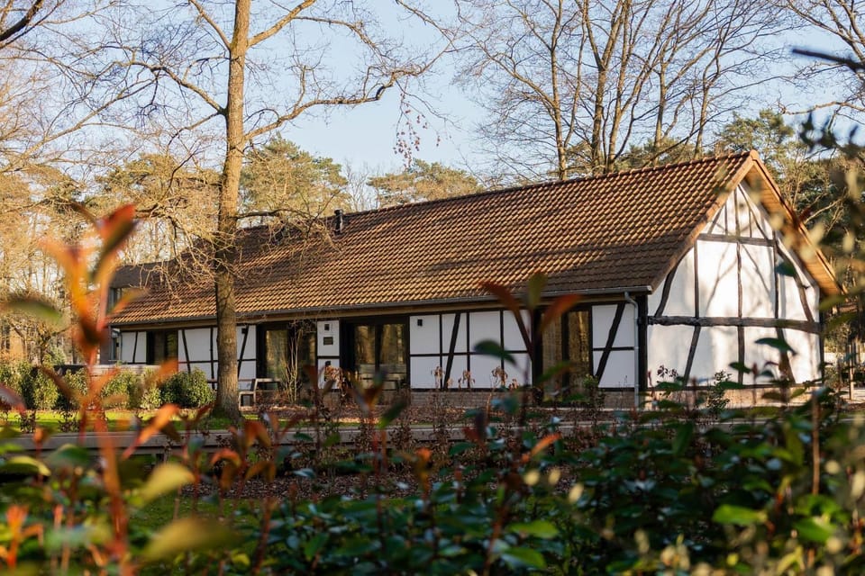 Villa Lodge with Jacuzzi | 8 people Villa in Flanders