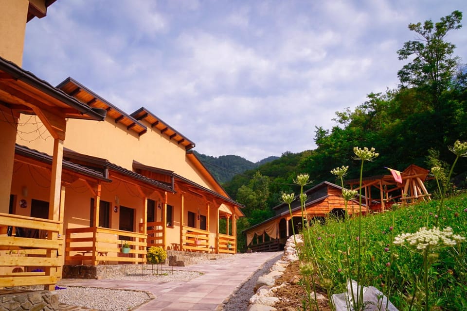 Property building, Day, Garden view