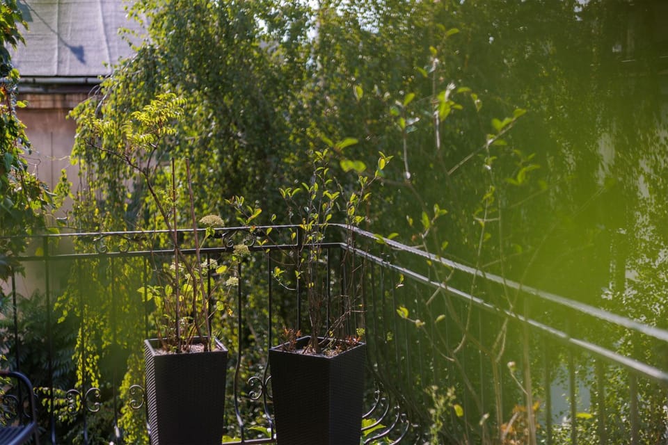 Spring, Day, Garden, Garden view