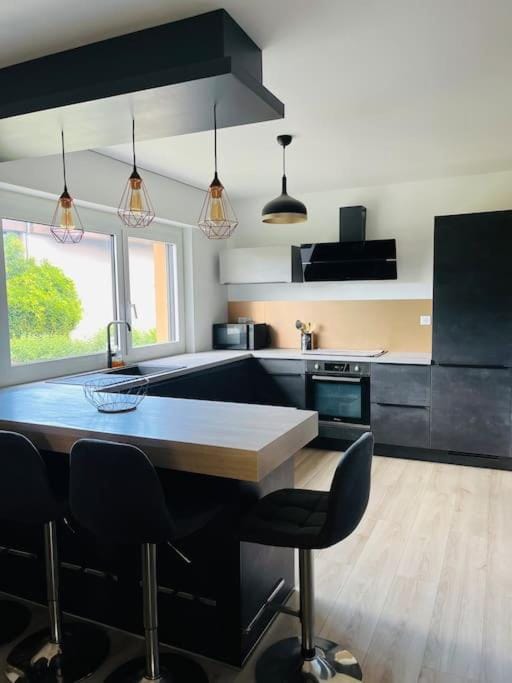 Le Saule Apartment in Thonon-les-Bains