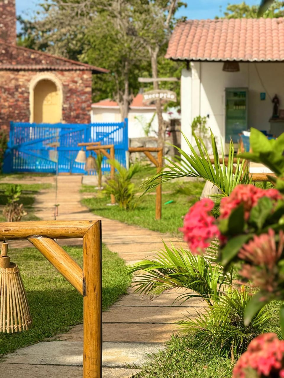 Day, Natural landscape, Garden