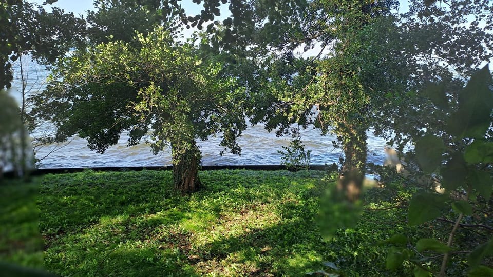 Spring, Garden, Garden view, Lake view