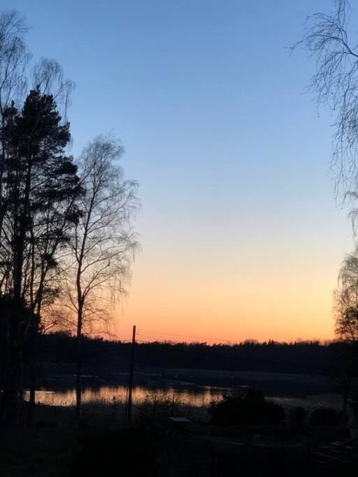 Lake view