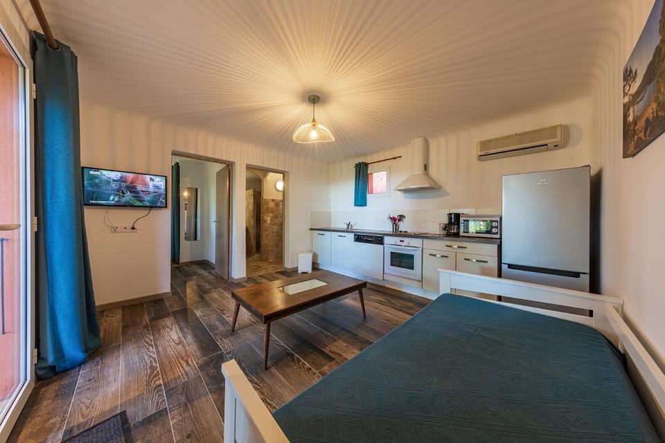 Communal lounge/ TV room, TV and multimedia, Coffee/tea facilities, Living room, dishwasher, minibar, storage, stove, kitchen, air conditioner