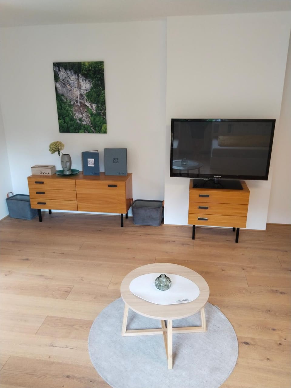 TV and multimedia
