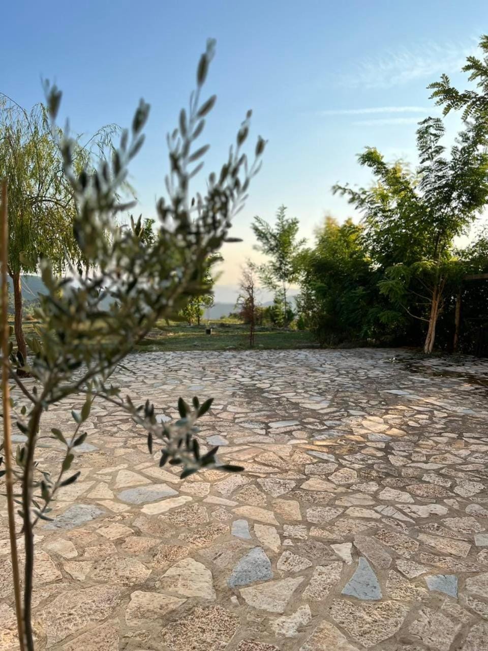 Selim Guesthouse Apartment in Vlorë County, Albania