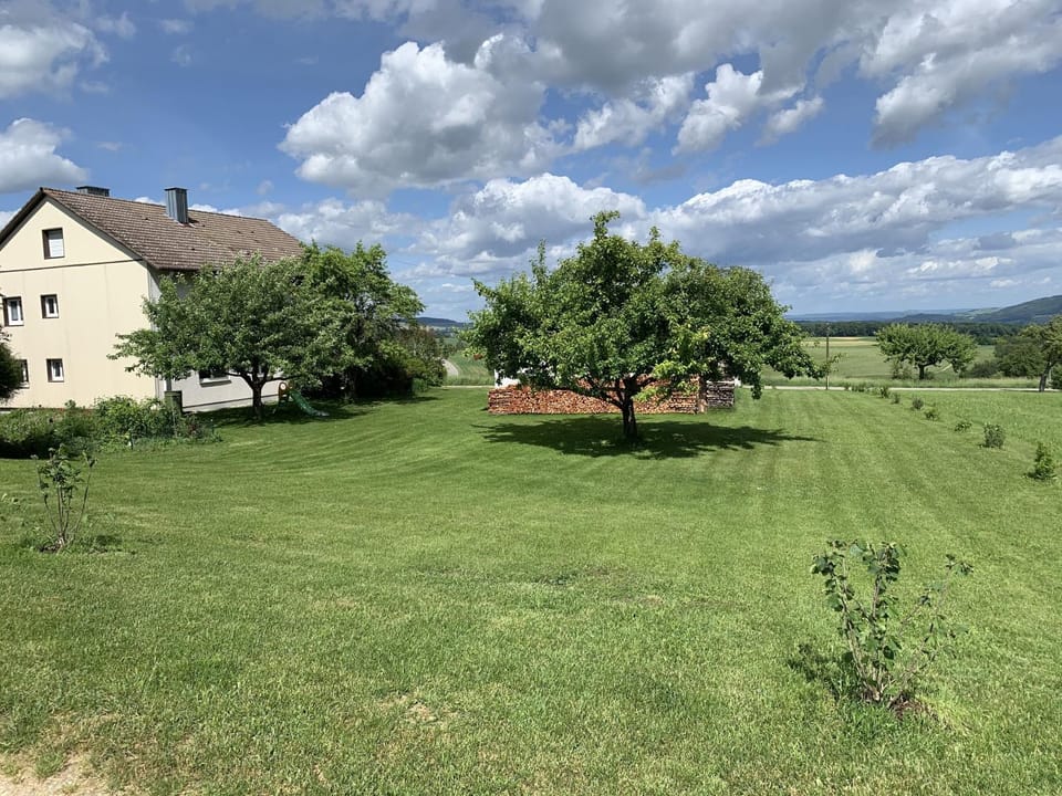 Natural landscape, Garden, Garden view