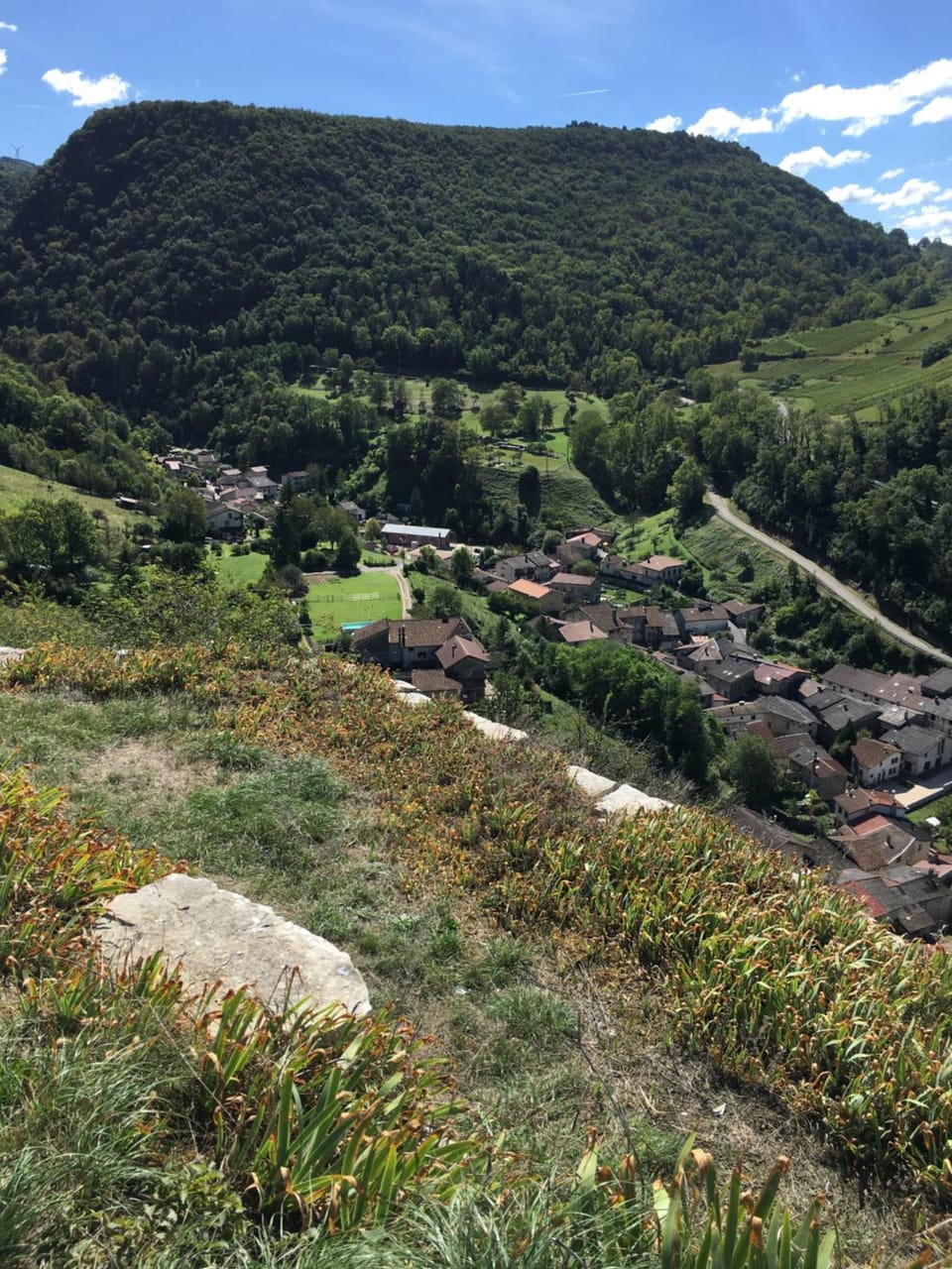 Mountain view