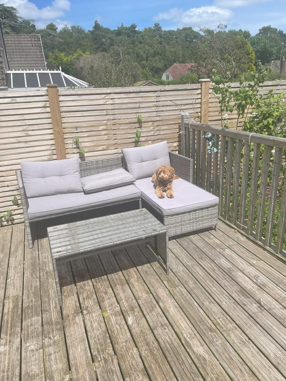 Terry's Cove - Dogs welcome Apartment in East Dorset District