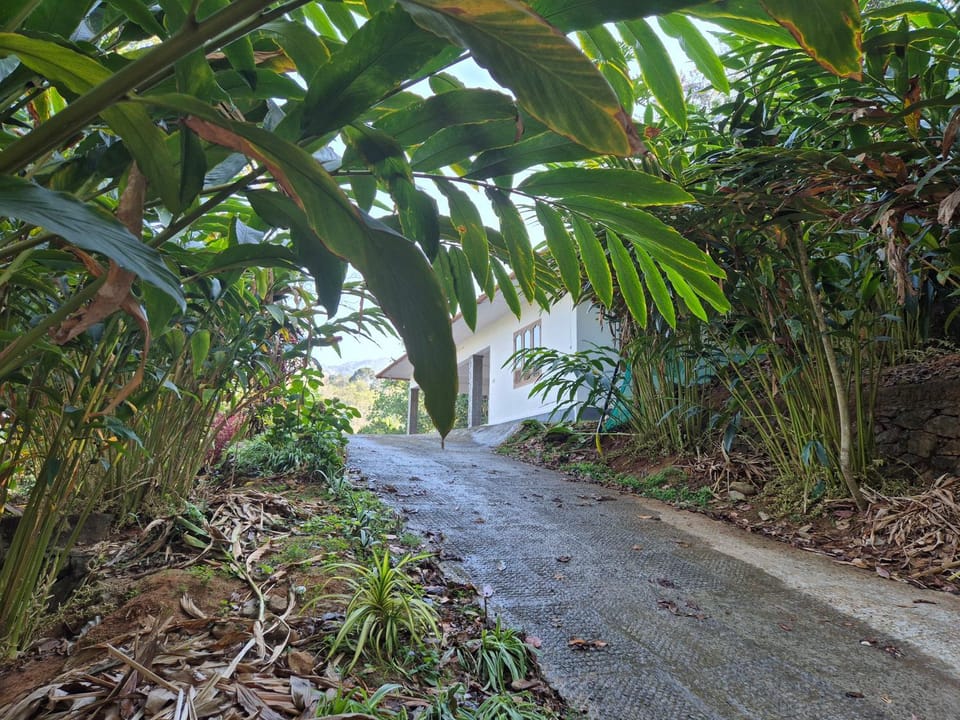 Anivilla Holiday Home Kunjithanny House in Kerala