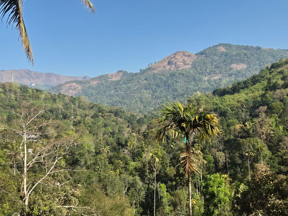 Anivilla Holiday Home Kunjithanny House in Kerala