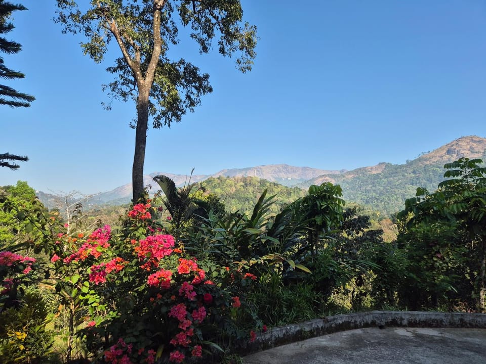 Anivilla Holiday Home Kunjithanny House in Kerala