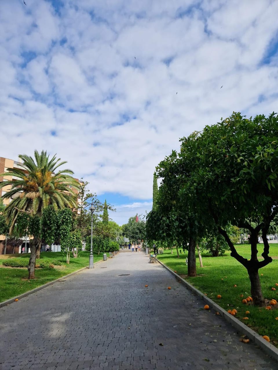 Salusahome parking gratuito Apartment in Cordoba