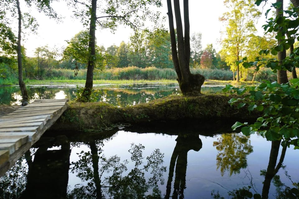 Natural landscape, River view